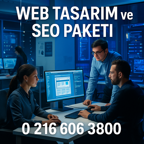 İçerik Ve Backlink Yönetimi