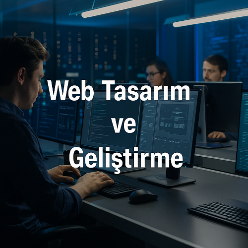 Web Sitesi Tasarım Şirketi